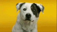 Smile.jpg
