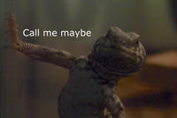 Call Me Maybe