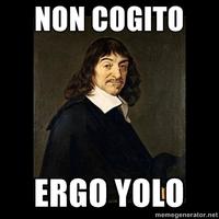 YOLO
