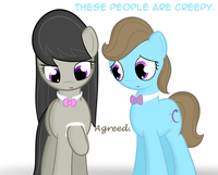 Pony Reactions