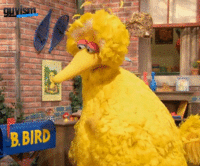 Fired Big Bird / Mitt Romney Hates Big Bird