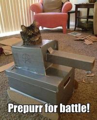 Cats