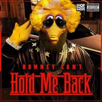 Fired Big Bird / Mitt Romney Hates Big Bird