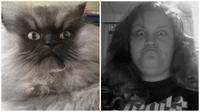 Colonel Meow