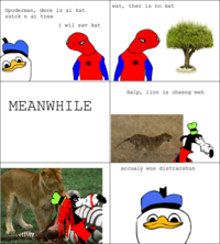 Dolan