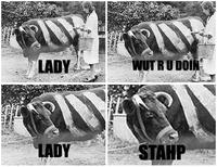 Stahp