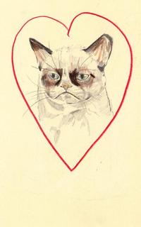 Grumpy Cat