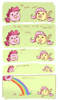 Nyan Cat / Pop Tart Cat