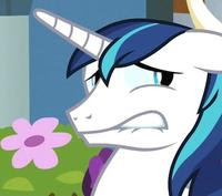 Pony Reactions