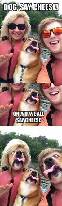 Facebomb