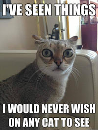 What Has Been Seen Cannot Be Unseen