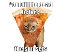 Cat Breading