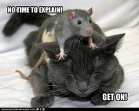 There's No Time To Explain