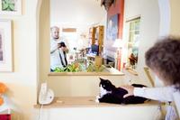 Henri, Le Chat Noir