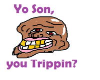 Maymays/Misused memes