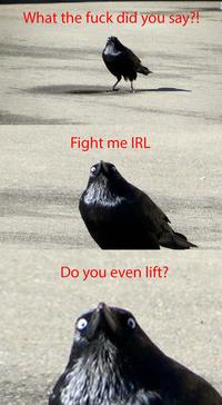 Do You Even Lift?
