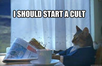 I Should Buy a Boat Cat