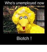 Fired Big Bird / Mitt Romney Hates Big Bird