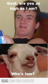 [10] Guy