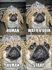 Stahp