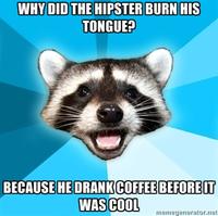Lame Pun Coon