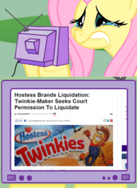 Hostess Bankruptcy / No More Twinkies