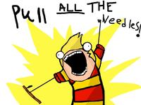 X all the Y