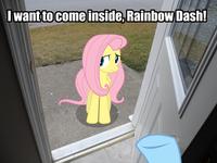 My Little Pony: Friendship is Magic