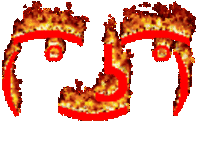 831