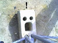 Things With Faces