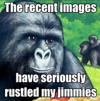 That Really Rustled My Jimmies