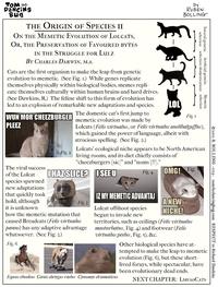 LOLcats