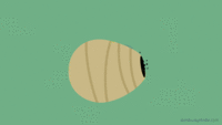Dumb Ways to Die