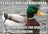 Actual Advice Mallard