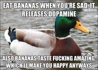 Actual Advice Mallard