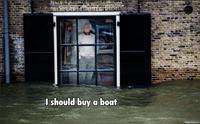 I Should Buy a Boat Cat