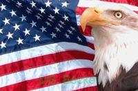 'Murica