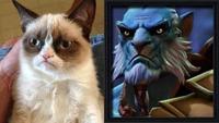 Grumpy Cat
