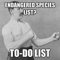 Overly Manly Man