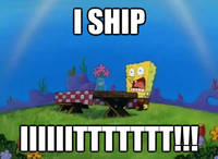 Shipping