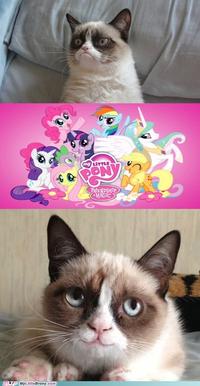 My Little Pony: Friendship is Magic