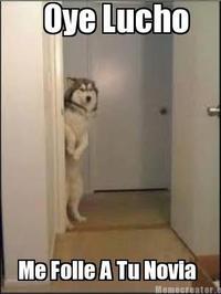 Oye Lucho, El perro del lucho