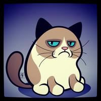 Grumpy Cat