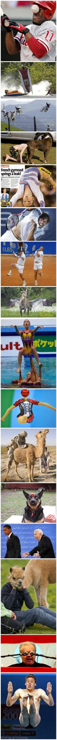 Perfectly Timed Photos