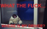 IKEA Monkey