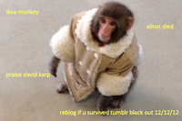 IKEA Monkey