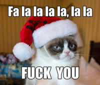 Grumpy Cat