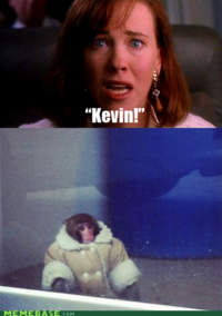 IKEA Monkey