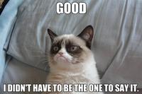 Grumpy Cat