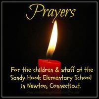 Sandy Hook Elementary School Shooting